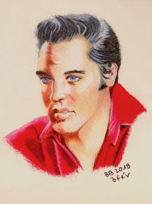 Elvis Presley - portrait couleur.