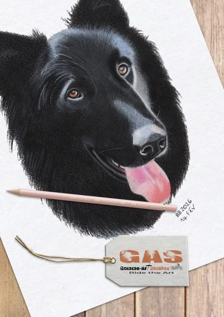 Ilko - Portrait d'un chien noir aux crayons de couleur par l'artiste BB de Gomme-art Studios - 13 x 18 cm.